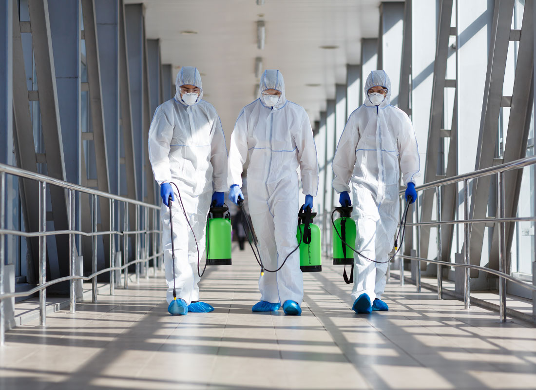 Απολύμανση απεντόμωση και μυοκτονία